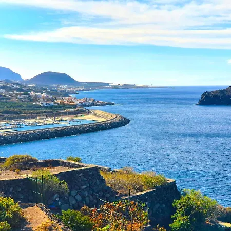 Jacaranda Azul Icod De Vinos * Icod De Los Vinos