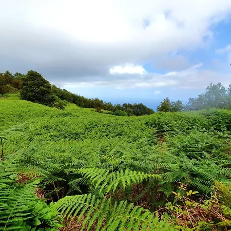 Lejlighed Jacaranda Azul Icod De Vinos Icod De Los Vinos