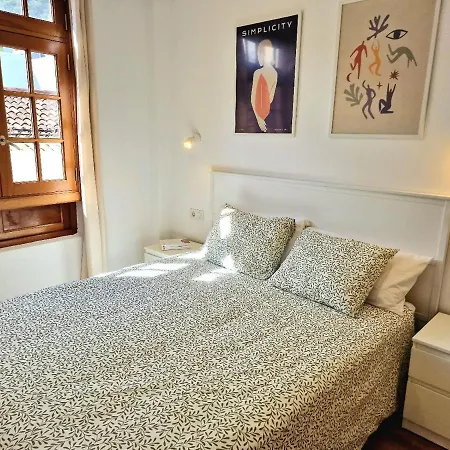 Jacaranda Azul Icod De Vinos * 伊科德·德·洛斯·维诺斯