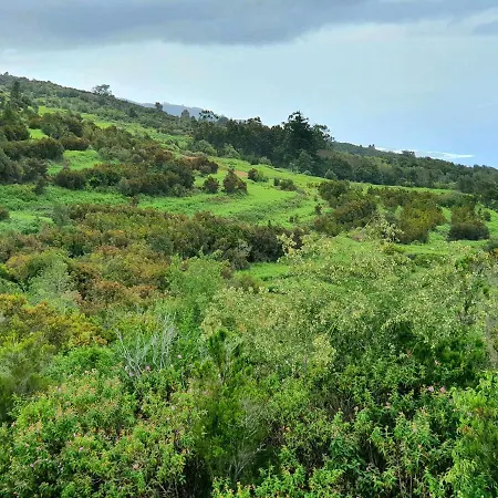 Apartamento Jacaranda Azul Icod De Vinos *