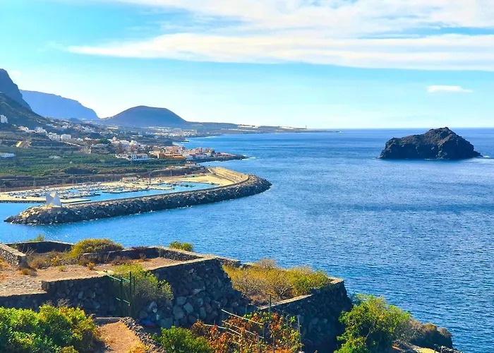 Jacaranda Azul Icod De Vinos * Icod De Los Vinos